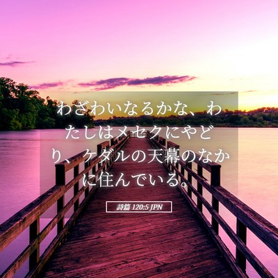 Picture 05 - 詩篇 120:5 JPN - わざわいなるかな、わたしはメセク - Bible Verse Picture