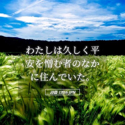 Picture 05 - 詩篇 120:6 JPN - わたしは久しく平安を憎む者のなか - Bible Verse Picture