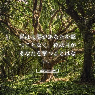 Picture 05 - 詩篇 121:6 JPN - 昼は太陽があなたを撃つことなく、 - Bible Verse Picture