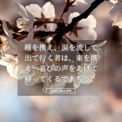 Picture 05 - 詩篇 126:6 JPN - 種を携え、涙を流して出て行く者は - Bible Verse Picture