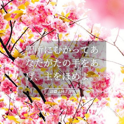 Picture 05 - 詩篇 134:2 JPN - 聖所にむかってあなたがたの手をあ - Bible Verse Picture