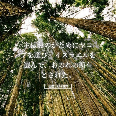 Picture 05 - 詩篇 135:4 JPN - 主はおのがためにヤコブを選び、イ - Bible Verse Picture