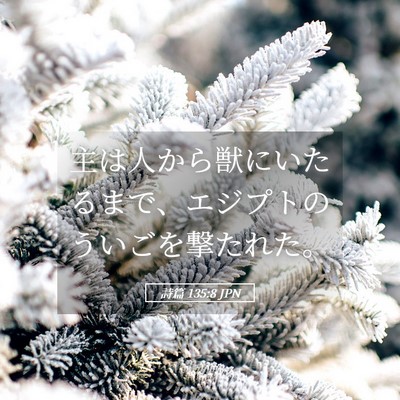 Picture 05 - 詩篇 135:8 JPN - 主は人から獣にいたるまで、エジプ - Bible Verse Picture