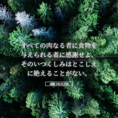 Picture 05 - 詩篇 136:25 JPN - すべての肉なる者に食物を与えられ - Bible Verse Picture