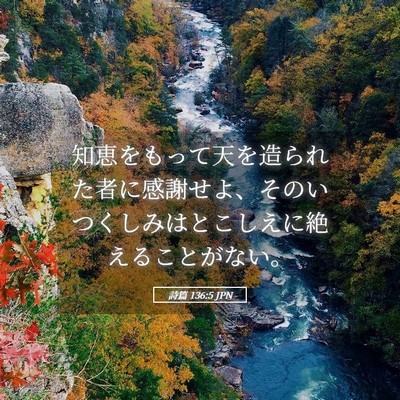 Picture 05 - 詩篇 136:5 JPN - 知恵をもって天を造られた者に感謝 - Bible Verse Picture
