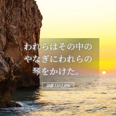 Picture 05 - 詩篇 137:2 JPN - われらはその中のやなぎにわれらの - Bible Verse Picture