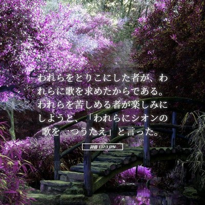Picture 05 - 詩篇 137:3 JPN - われらをとりこにした者が、われら - Bible Verse Picture