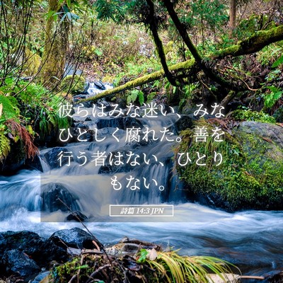 Picture 05 - 詩篇 14:3 JPN - 彼らはみな迷い、みなひとしく腐れ - Bible Verse Picture