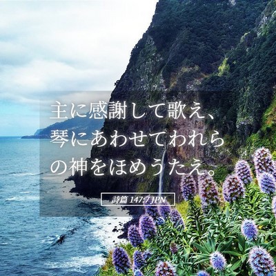 Picture 05 - 詩篇 147:7 JPN - 主に感謝して歌え、琴にあわせてわ - Bible Verse Picture