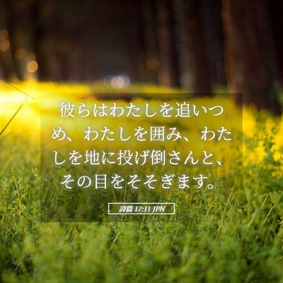 Picture 05 - 詩篇 17:11 JPN - 彼らはわたしを追いつめ、わたしを - Bible Verse Picture