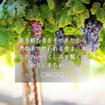 Picture 05 - 詩篇 17:7 JPN - 寄り頼む者をそのあだから右の手で - Bible Verse Picture