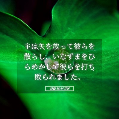 Picture 05 - 詩篇 18:14 JPN - 主は矢を放って彼らを散らし、いな - Bible Verse Picture