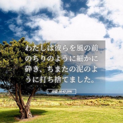 Picture 05 - 詩篇 18:42 JPN - わたしは彼らを風の前のちりのよう - Bible Verse Picture