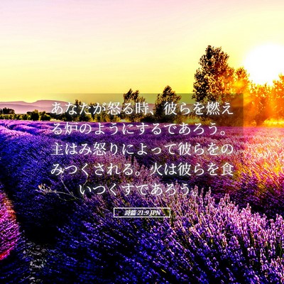 Picture 05 - 詩篇 21:9 JPN - あなたが怒る時、彼らを燃える炉の - Bible Verse Picture