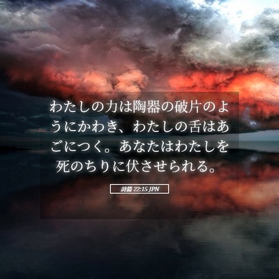 Picture 05 - 詩篇 22:15 JPN - わたしの力は陶器の破片のようにか - Bible Verse Picture