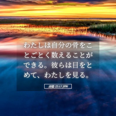 Picture 05 - 詩篇 22:17 JPN - わたしは自分の骨をことごとく数え - Bible Verse Picture