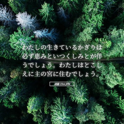 Picture 05 - 詩篇 23:6 JPN - わたしの生きているかぎりは必ず恵 - Bible Verse Picture