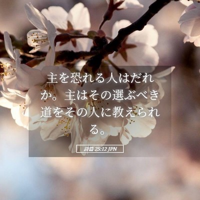 Picture 05 - 詩篇 25:12 JPN - 主を恐れる人はだれか。主はその選 - Bible Verse Picture