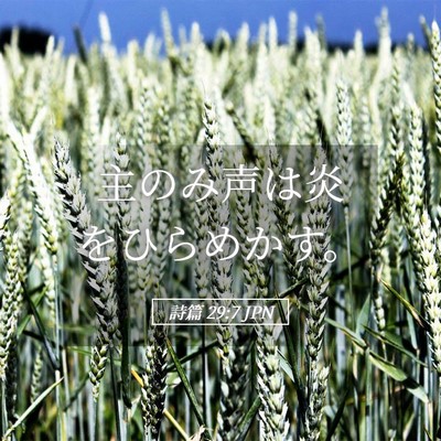 Picture 05 - 詩篇 29:7 JPN - 主のみ声は炎をひらめかす。 - Bible Verse Picture