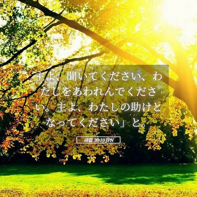 Picture 05 - 詩篇 30:10 JPN - 主よ、聞いてください、わたしをあ - Bible Verse Picture