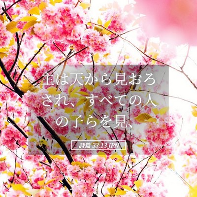 Picture 05 - 詩篇 33:13 JPN - 主は天から見おろされ、すべての人 - Bible Verse Picture