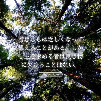 Picture 05 - 詩篇 34:10 JPN - 若きししは乏しくなって飢えること - Bible Verse Picture