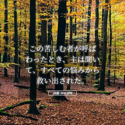 Picture 05 - 詩篇 34:6 JPN - この苦しむ者が呼ばわったとき、主 - Bible Verse Picture