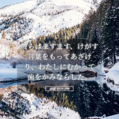 Picture 05 - 詩篇 35:16 JPN - 彼らはますます、けがす言葉をもっ - Bible Verse Picture