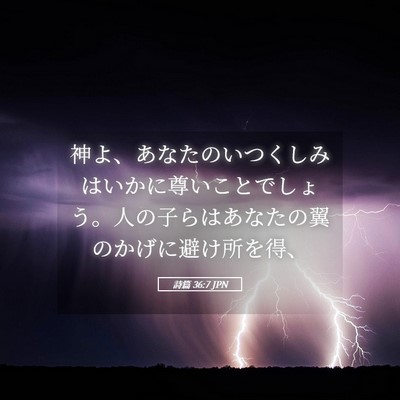 Picture 05 - 詩篇 36:7 JPN - 神よ、あなたのいつくしみはいかに - Bible Verse Picture