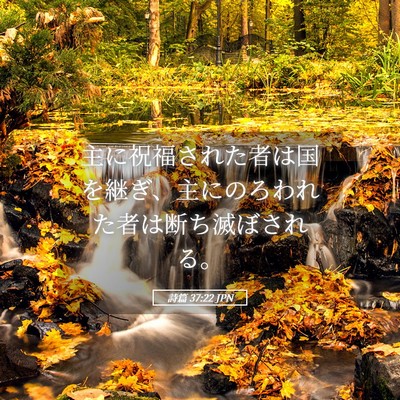 Picture 05 - 詩篇 37:22 JPN - 主に祝福された者は国を継ぎ、主に - Bible Verse Picture
