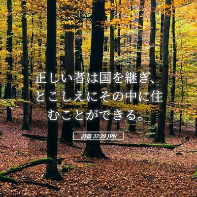 Picture 05 - 詩篇 37:29 JPN - 正しい者は国を継ぎ、とこしえにそ - Bible Verse Picture
