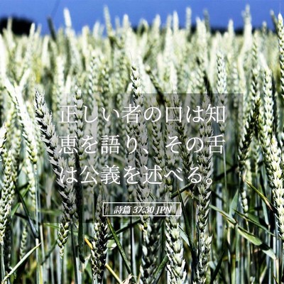 Picture 05 - 詩篇 37:30 JPN - 正しい者の口は知恵を語り、その舌 - Bible Verse Picture