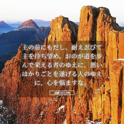 Picture 05 - 詩篇 37:7 JPN - 主の前にもだし、耐え忍びて主を待 - Bible Verse Picture