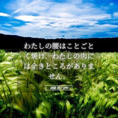 Picture 05 - 詩篇 38:7 JPN - わたしの腰はことごとく焼け、わた - Bible Verse Picture