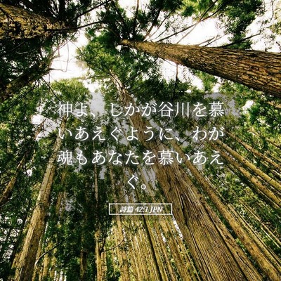 Picture 05 - 詩篇 42:1 JPN - 神よ、しかが谷川を慕いあえぐよう - Bible Verse Picture