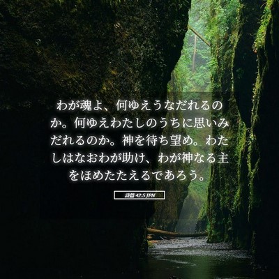 Picture 05 - 詩篇 42:5 JPN - わが魂よ、何ゆえうなだれるのか。 - Bible Verse Picture