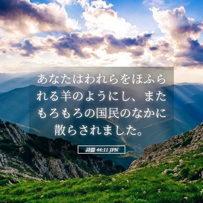 Picture 05 - 詩篇 44:11 JPN - あなたはわれらをほふられる羊のよ - Bible Verse Picture