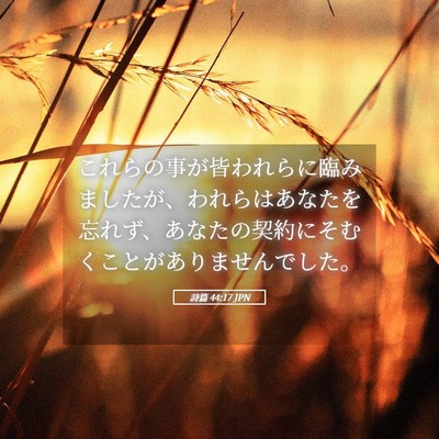 Picture 05 - 詩篇 44:17 JPN - これらの事が皆われらに臨みました - Bible Verse Picture
