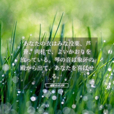 Picture 05 - 詩篇 45:8 JPN - あなたの衣はみな没薬、芦薈、肉桂 - Bible Verse Picture