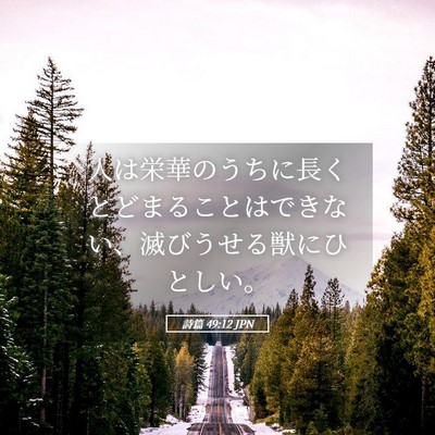 Picture 05 - 詩篇 49:12 JPN - 人は栄華のうちに長くとどまること - Bible Verse Picture