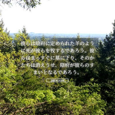 Picture 05 - 詩篇 49:14 JPN - 彼らは陰府に定められた羊のように - Bible Verse Picture