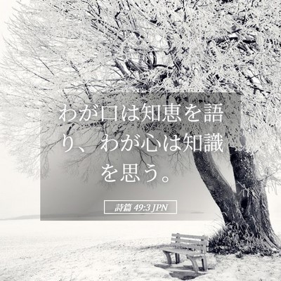 Picture 05 - 詩篇 49:3 JPN - わが口は知恵を語り、わが心は知識 - Bible Verse Picture