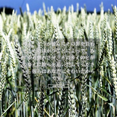 Picture 05 - 詩篇 5:10 JPN - 神よ、どうか彼らにその罪を負わせ - Bible Verse Picture