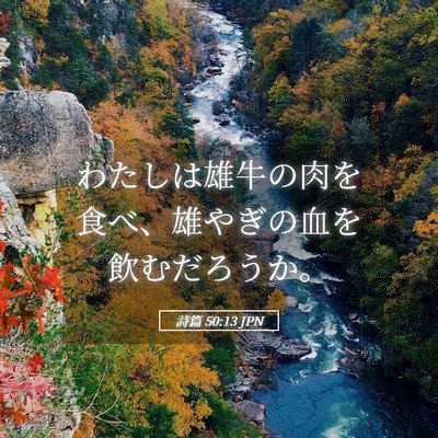 Picture 05 - 詩篇 50:13 JPN - わたしは雄牛の肉を食べ、雄やぎの - Bible Verse Picture