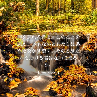 Picture 05 - 詩篇 50:22 JPN - 神を忘れる者よ、このことを思え。 - Bible Verse Picture