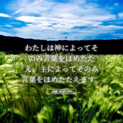 Picture 05 - 詩篇 56:10 JPN - わたしは神によってそのみ言葉をほ - Bible Verse Picture