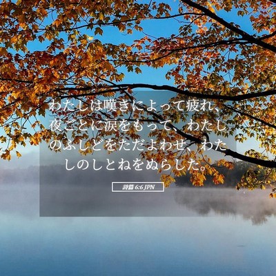 Picture 05 - 詩篇 6:6 JPN - わたしは嘆きによって疲れ、夜ごと - Bible Verse Picture