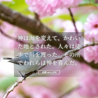 Picture 05 - 詩篇 66:6 JPN - 神は海を変えて、かわいた地とされ - Bible Verse Picture