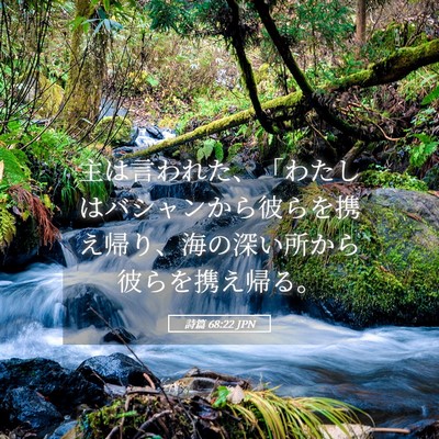 Picture 05 - 詩篇 68:22 JPN - 主は言われた、「わたしはバシャン - Bible Verse Picture