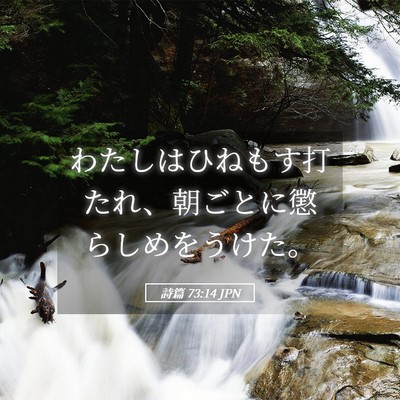 Picture 05 - 詩篇 73:14 JPN - わたしはひねもす打たれ、朝ごとに - Bible Verse Picture